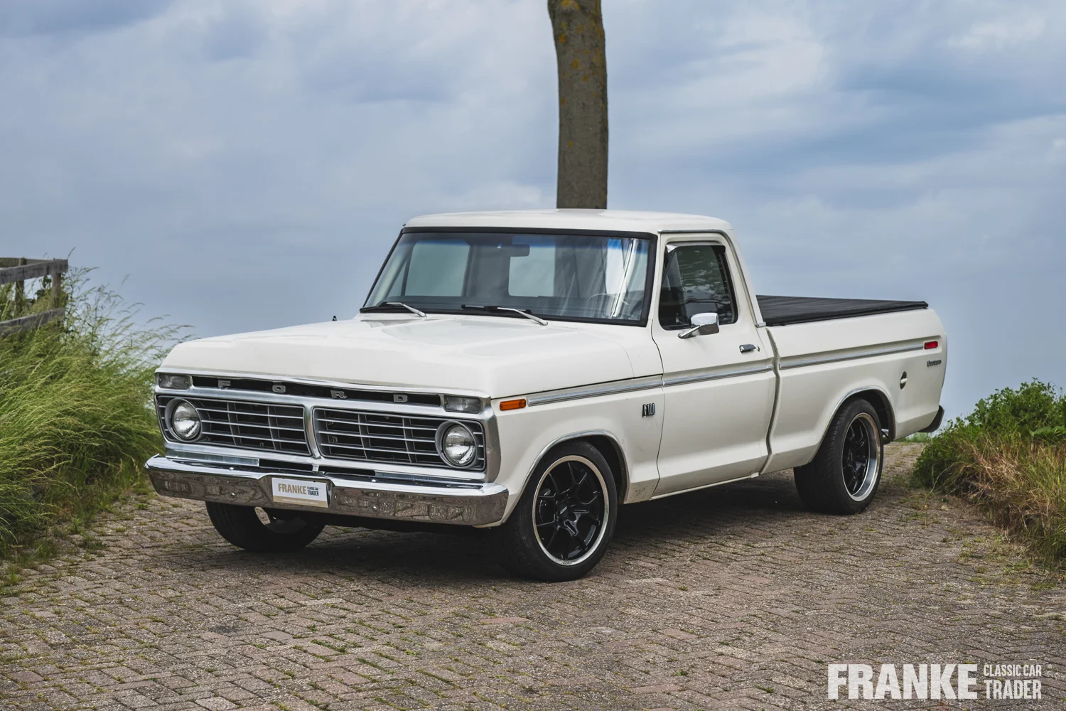 Ford F100 - 1 ford f100 wit 1175 - F100-3-26