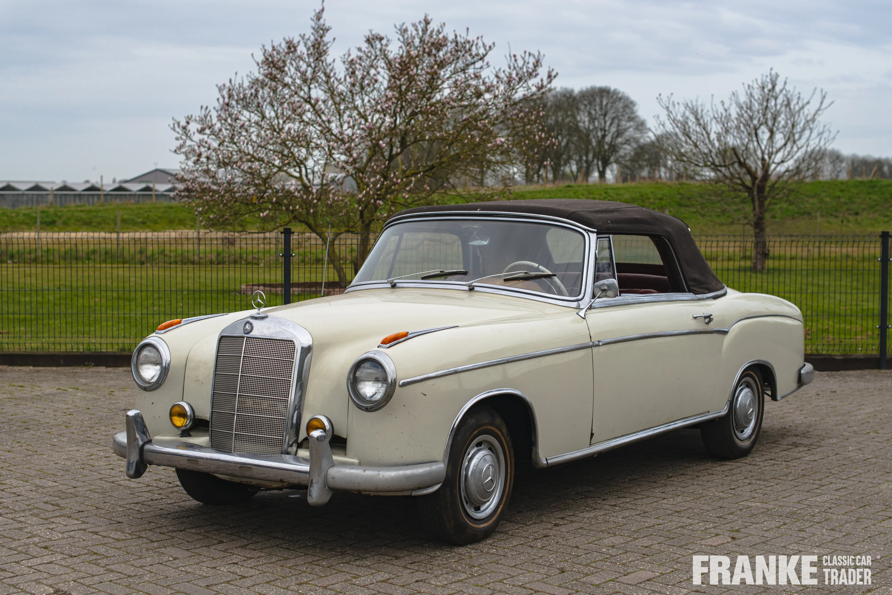 Mercedes-Benz 220 S Cabriolet - 1 mercedes 220 s cabrio beige3921 - 1-2024