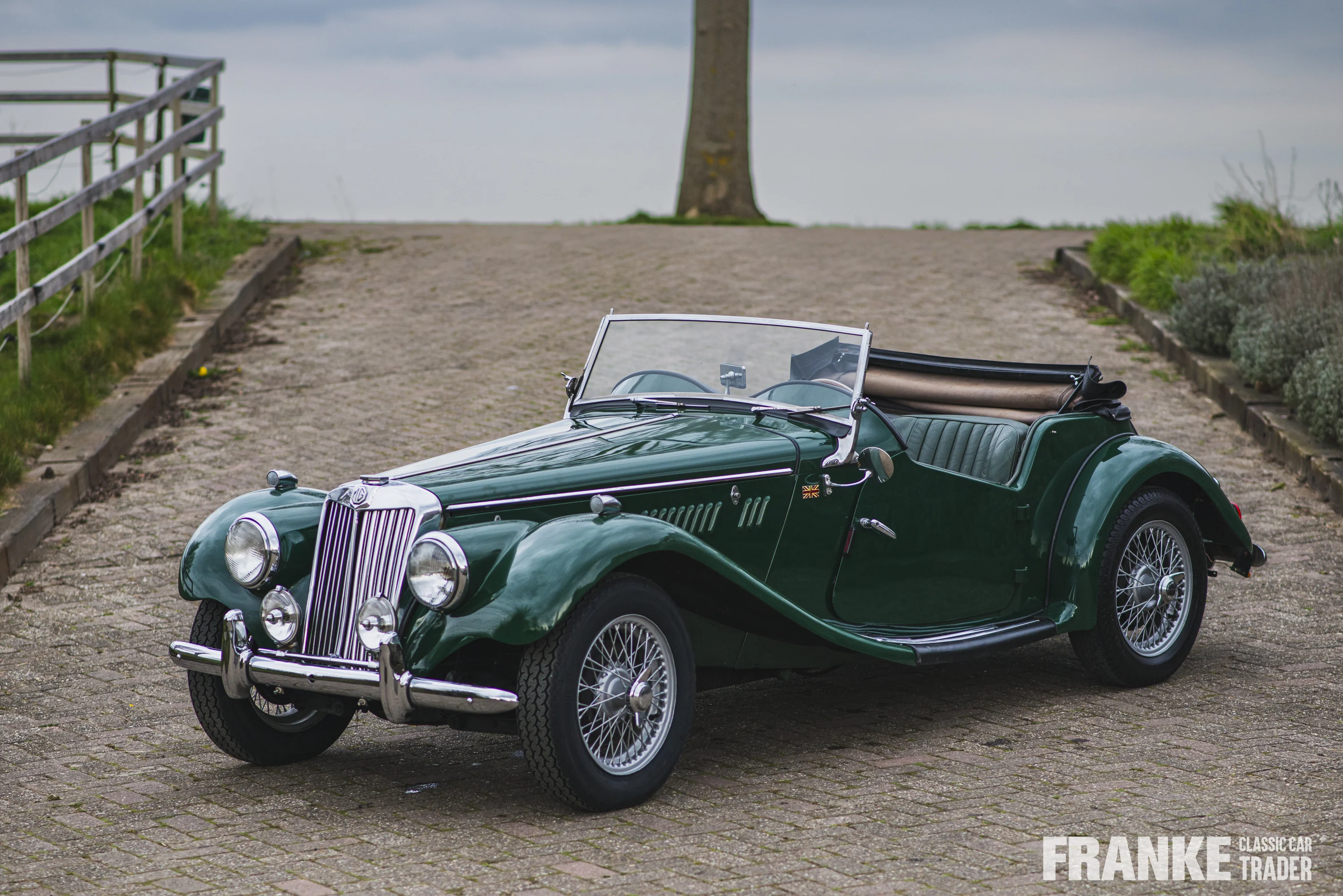 MG-TF - 1 mg tf groen4608 - 01-04-2025