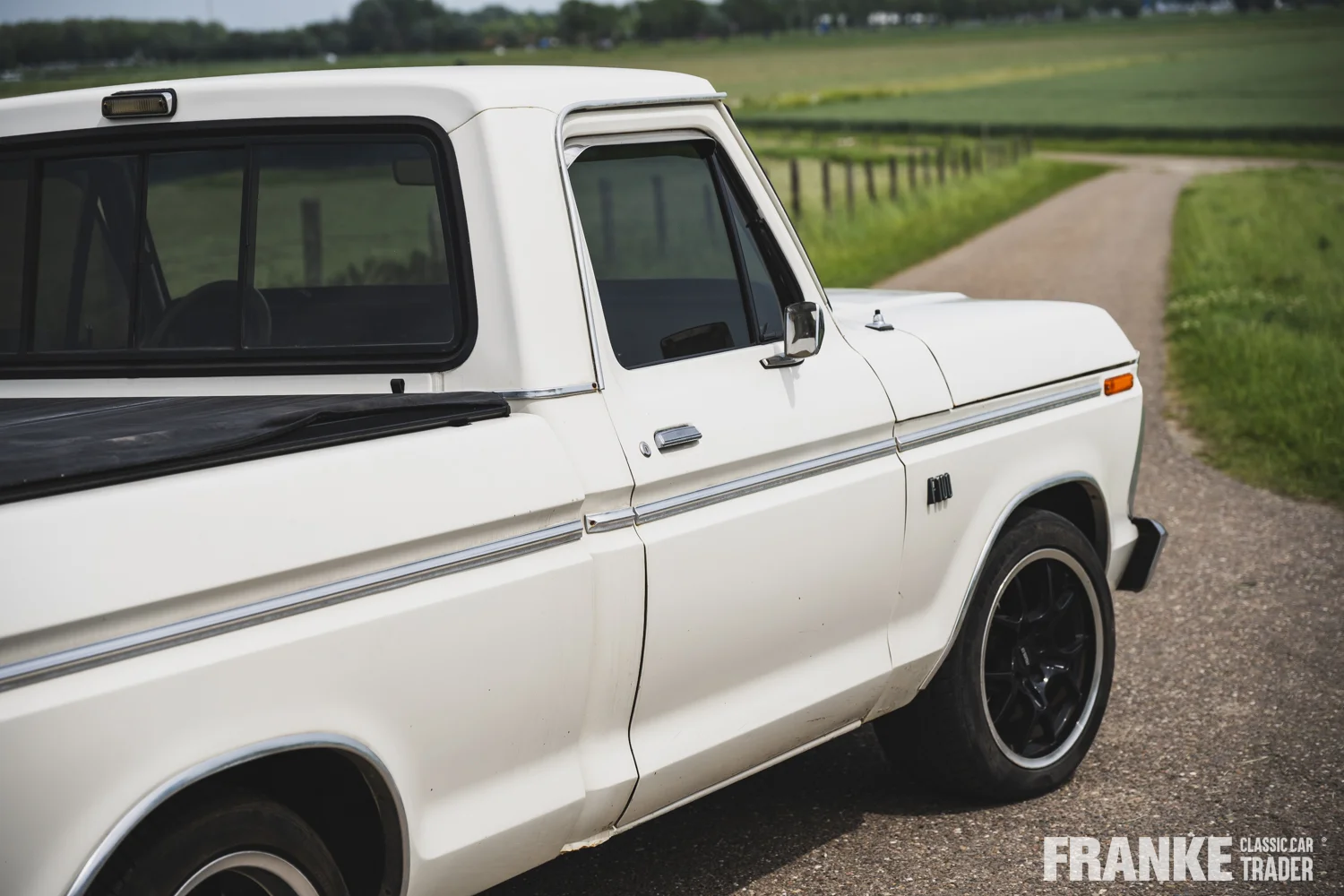 Ford F100 - 15 ford f100 wit 1118 - F100-3-26