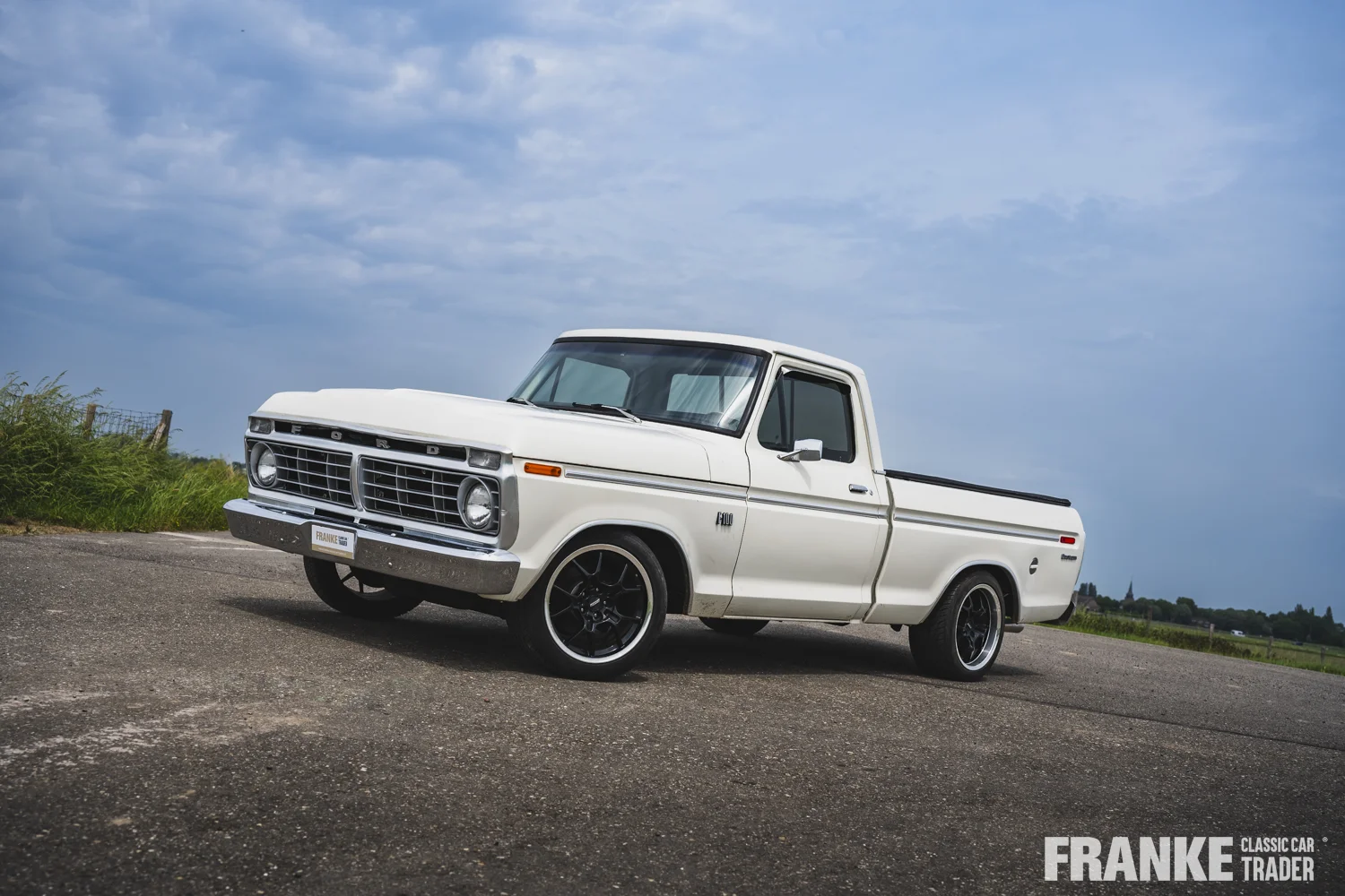 Ford F100 - 18 ford f100 wit 1082 - F100-3-26