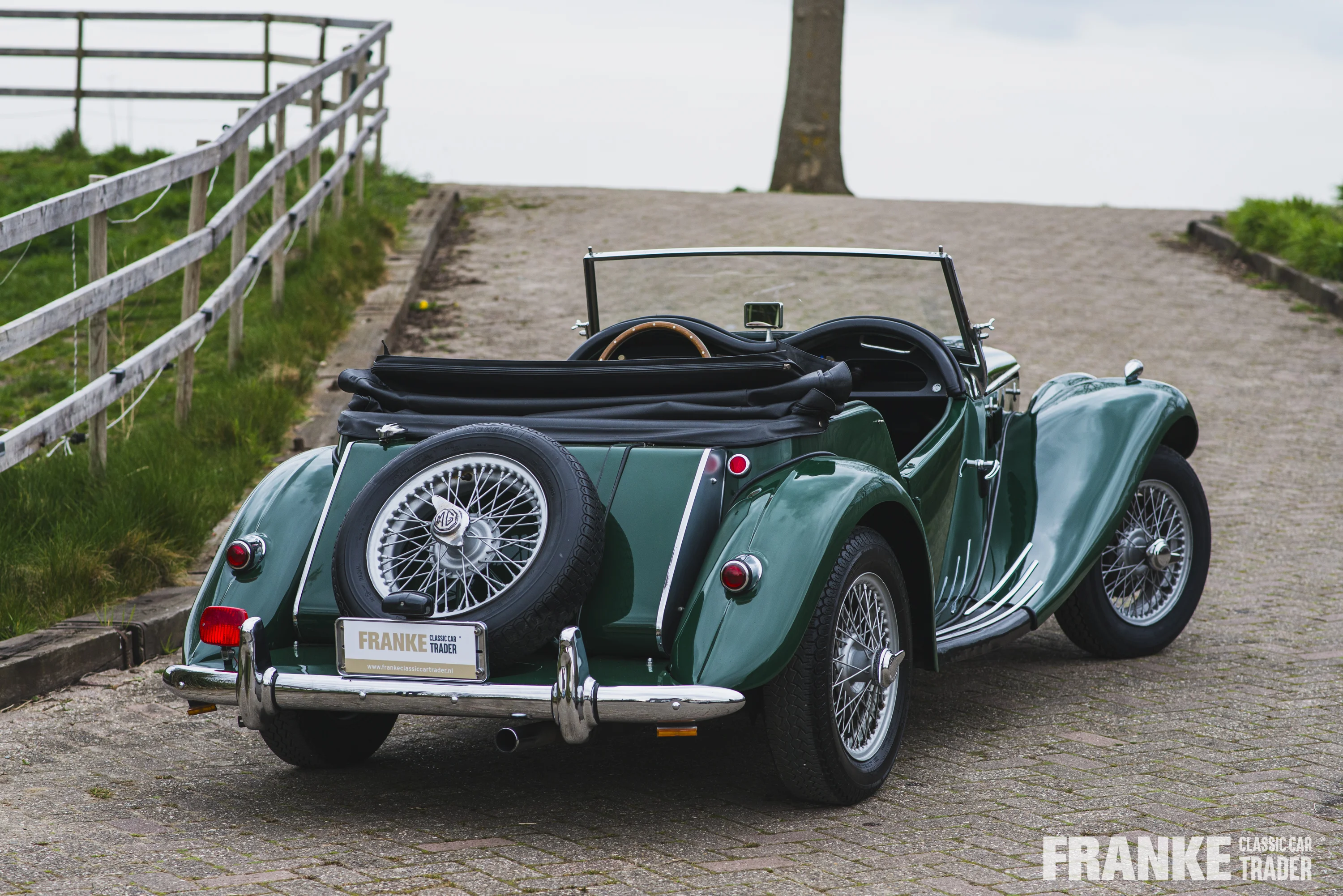 MG-TF - 2 mg tf groen4588 - 01-04-2025