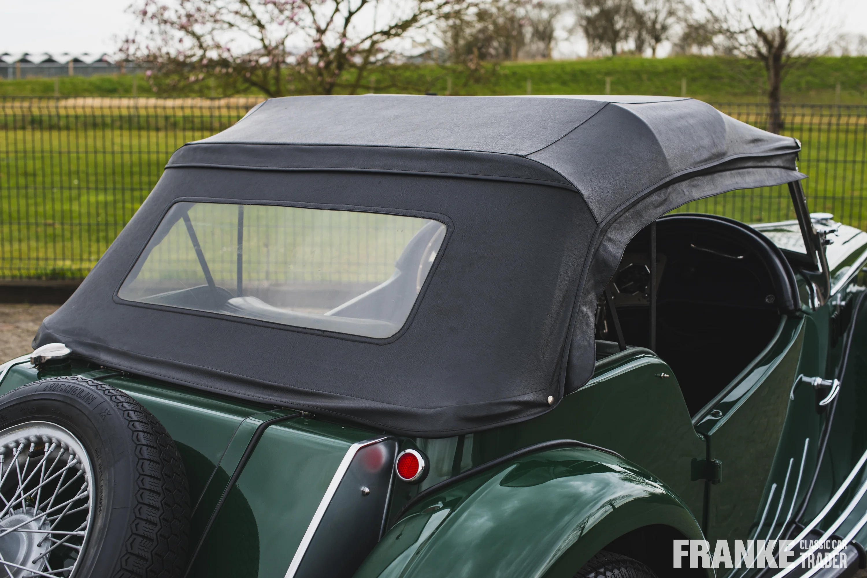 MG-TF - 20 mg tf groen4558 - 01-04-2025