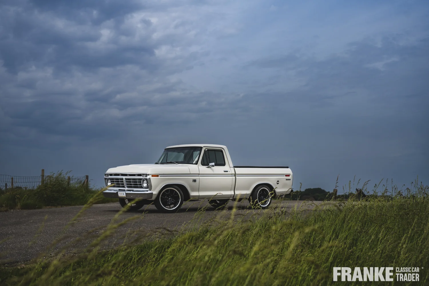 Ford F100 - 21 ford f100 wit 1077 - F100-3-26