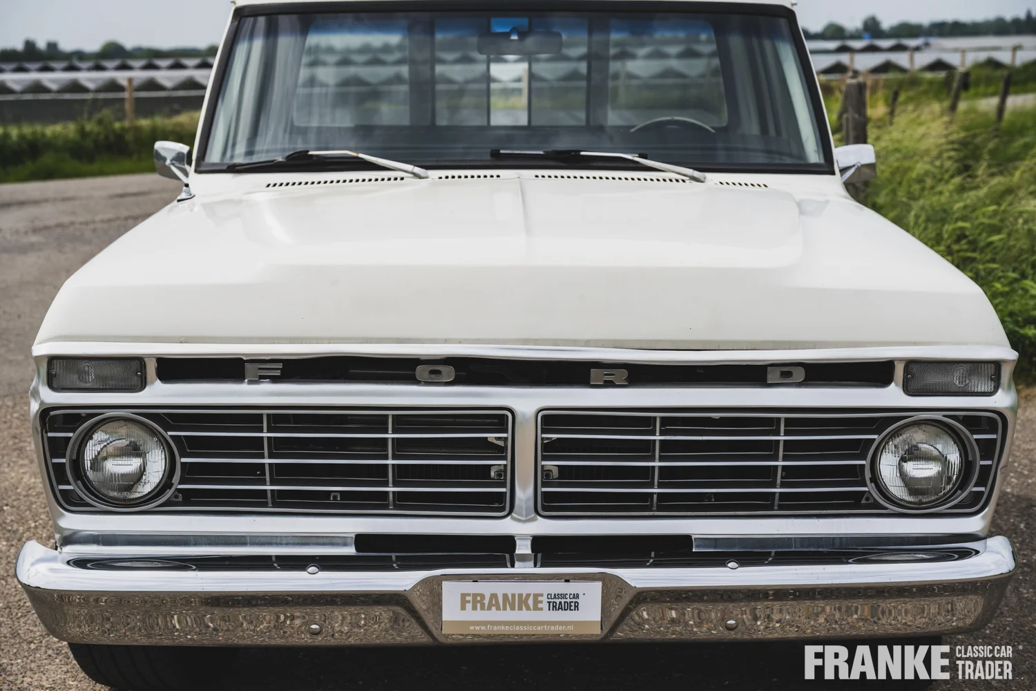 Ford F100 - 24 ford f100 wit 1160 - F100-3-26