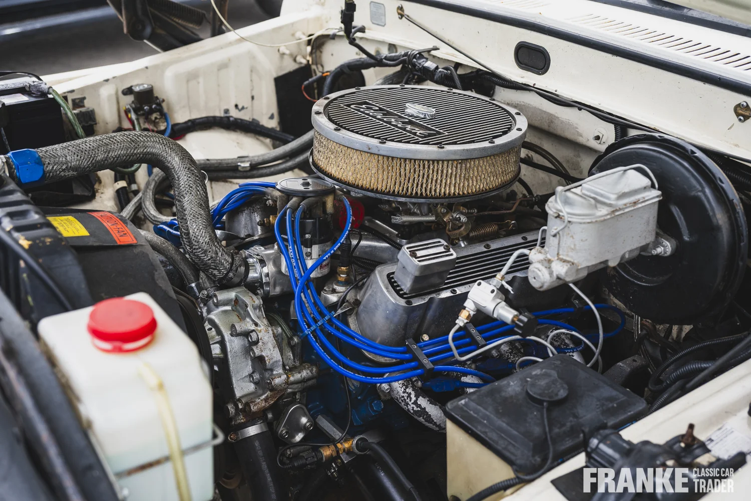 Ford F100 - 24b ford f100 wit 1139 - F100-3-26