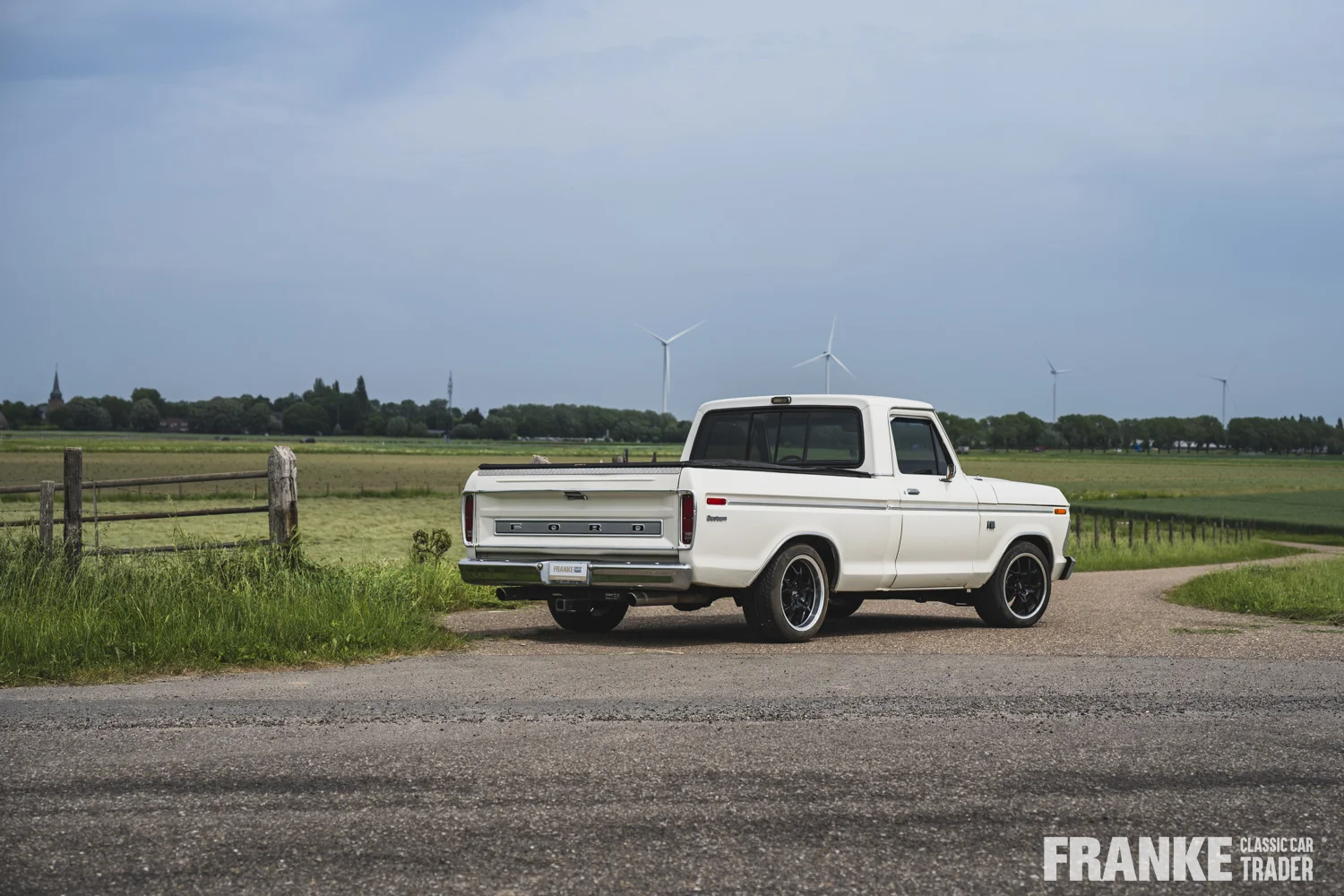 Ford F100 - 29 ford f100 wit 1107 - F100-3-26