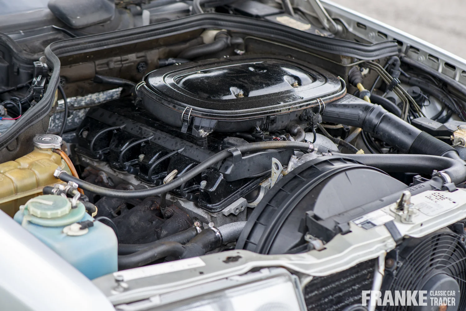 Mercedes-Benz 230 CE - 30 mb 230 cev 6332 - WDB1240431B611217