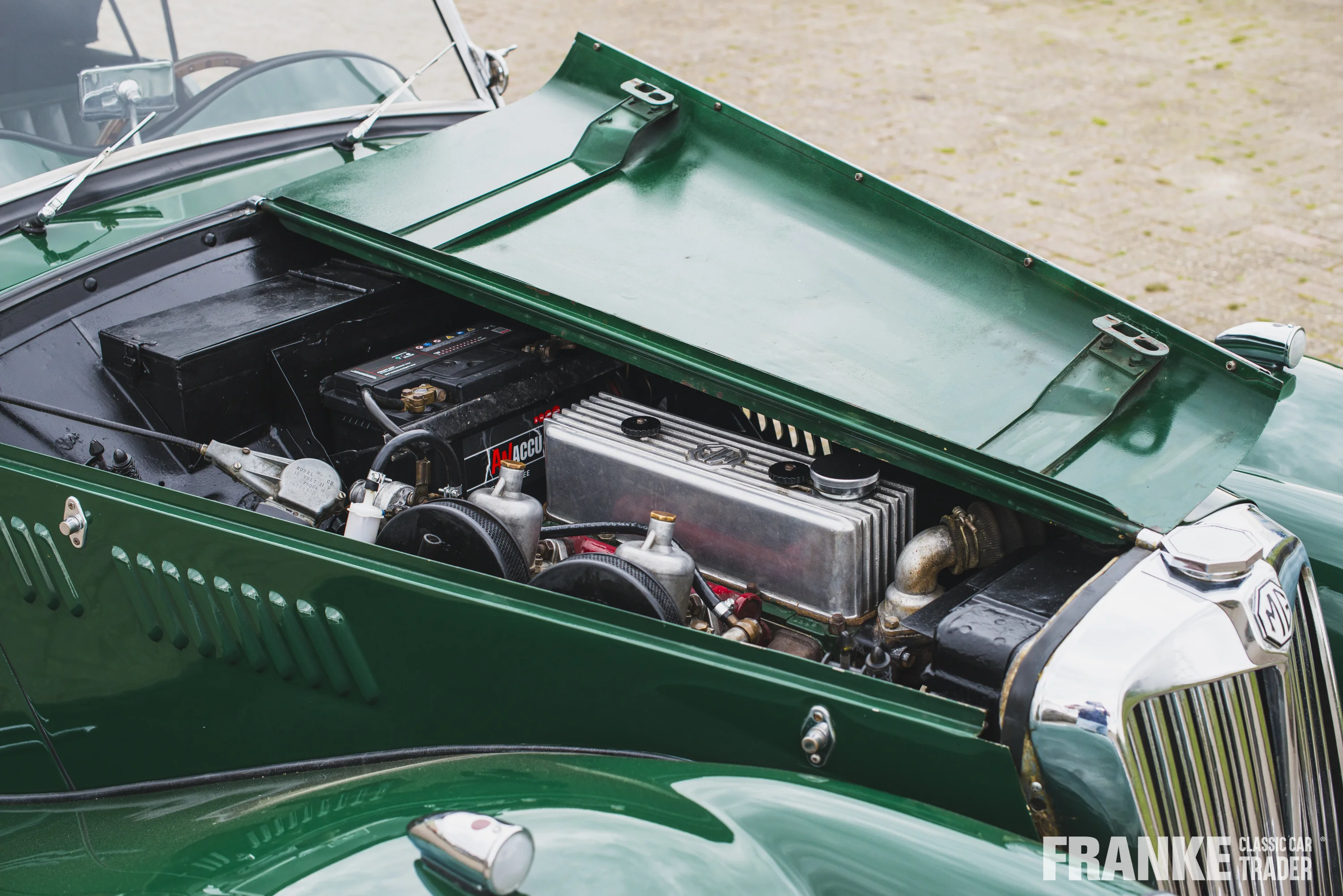 MG-TF - 30 mg tf groen4487 - 01-04-2025