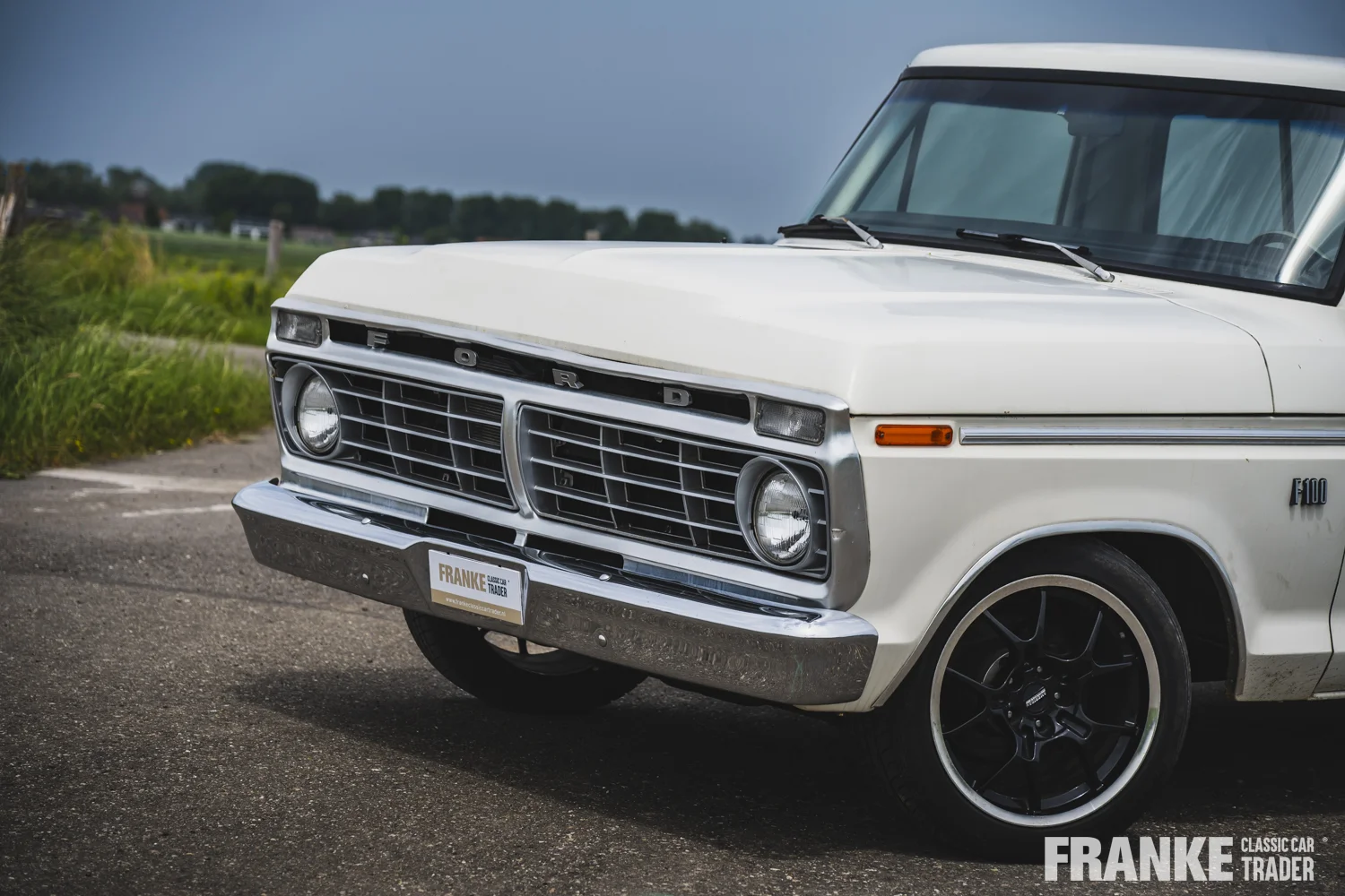 Ford F100 - 31 ford f100 wit 1079 - F100-3-26