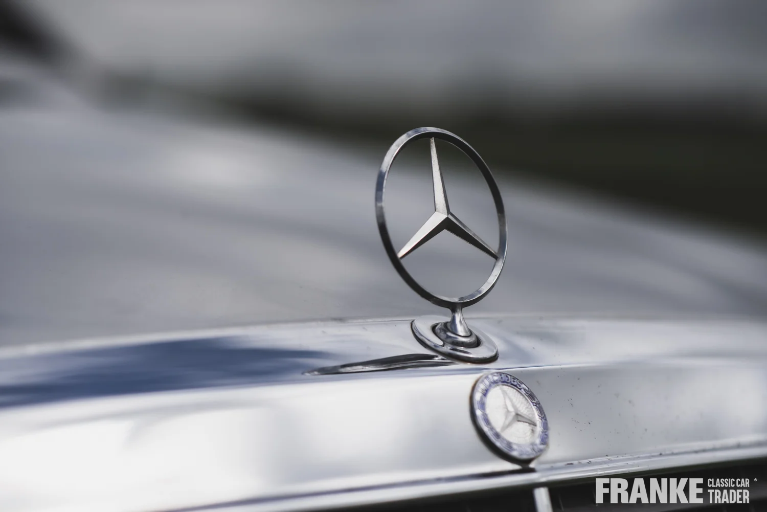 Mercedes-Benz 230 CE - 74 mb 230 cev 6248 - WDB1240431B611217