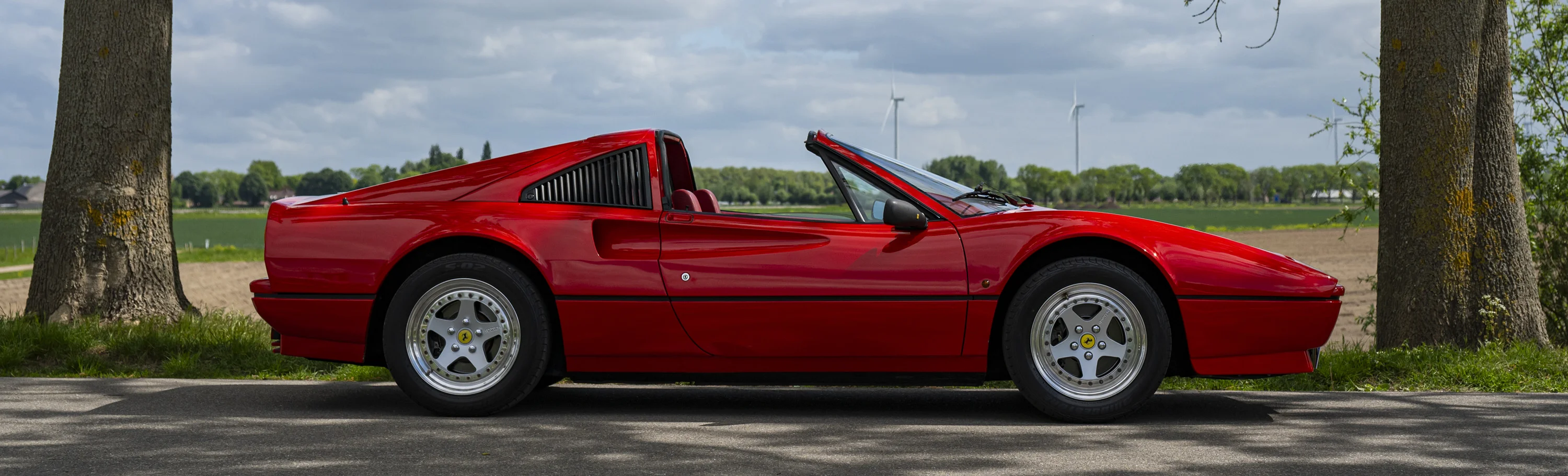 FerrariBanner_-3