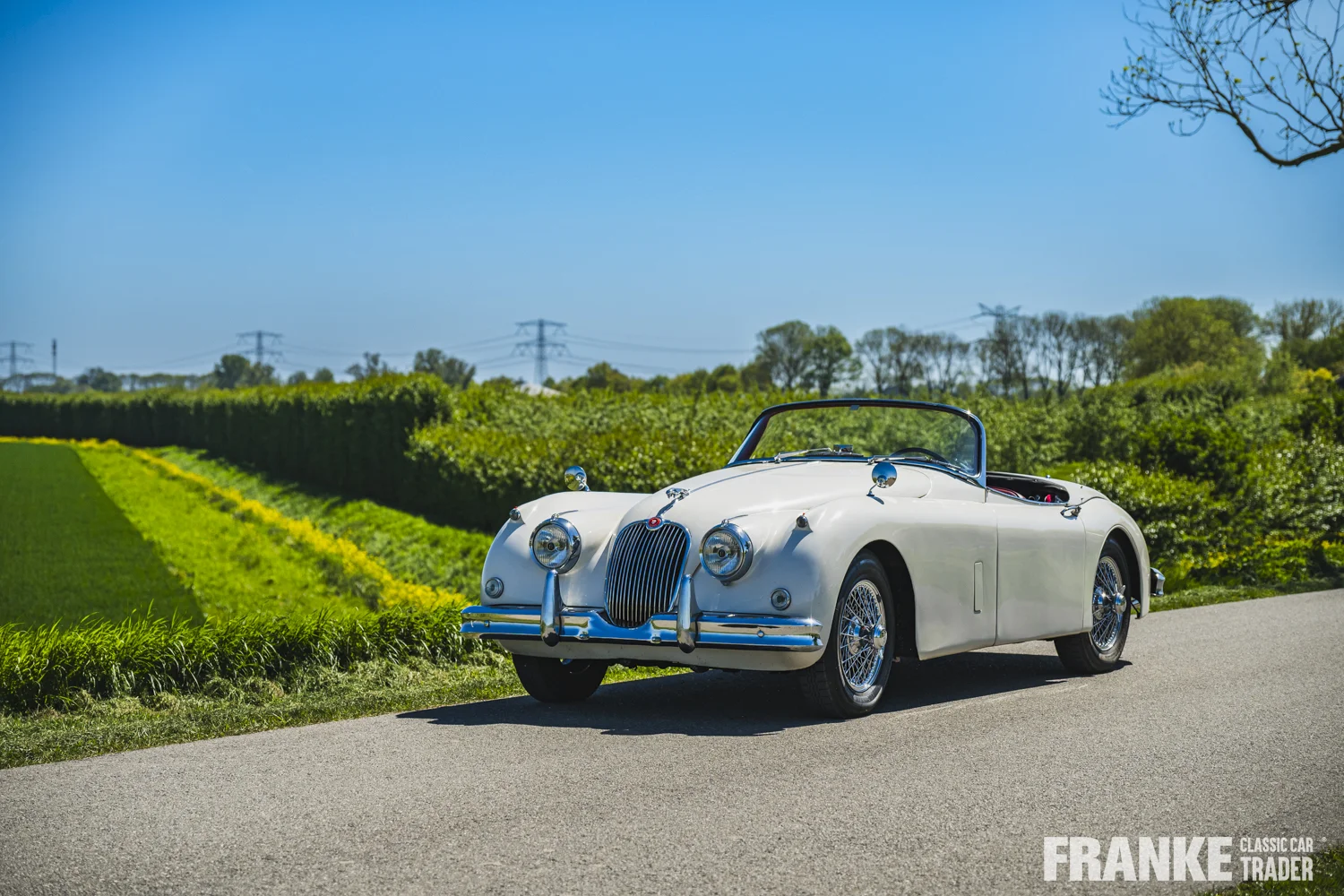 Jaguar XK150 - Jaguar xk150 cream fcct 8011 - xk150-4-26