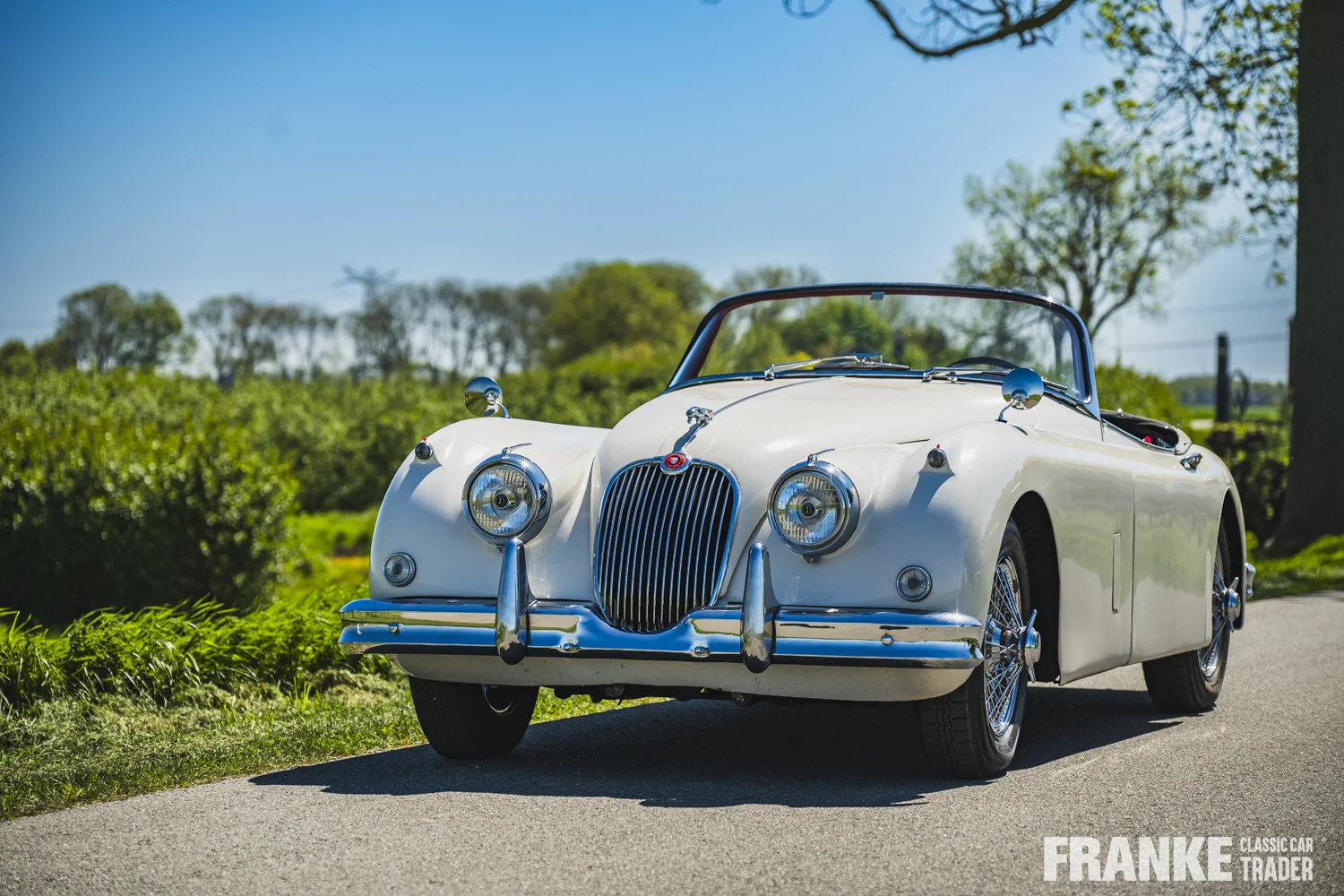 Jaguar XK150 - Jaguar xk150 cream fcct 8014 - xk150-4-26