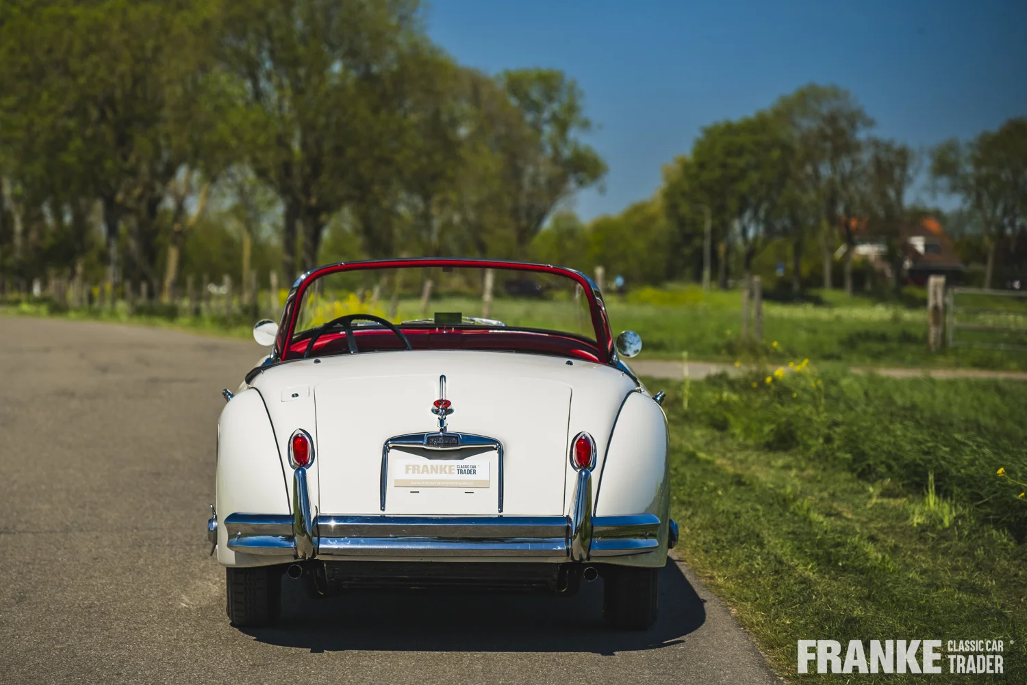 Jaguar XK150 - Jaguar xk150 cream fcct 8034 - xk150-4-26