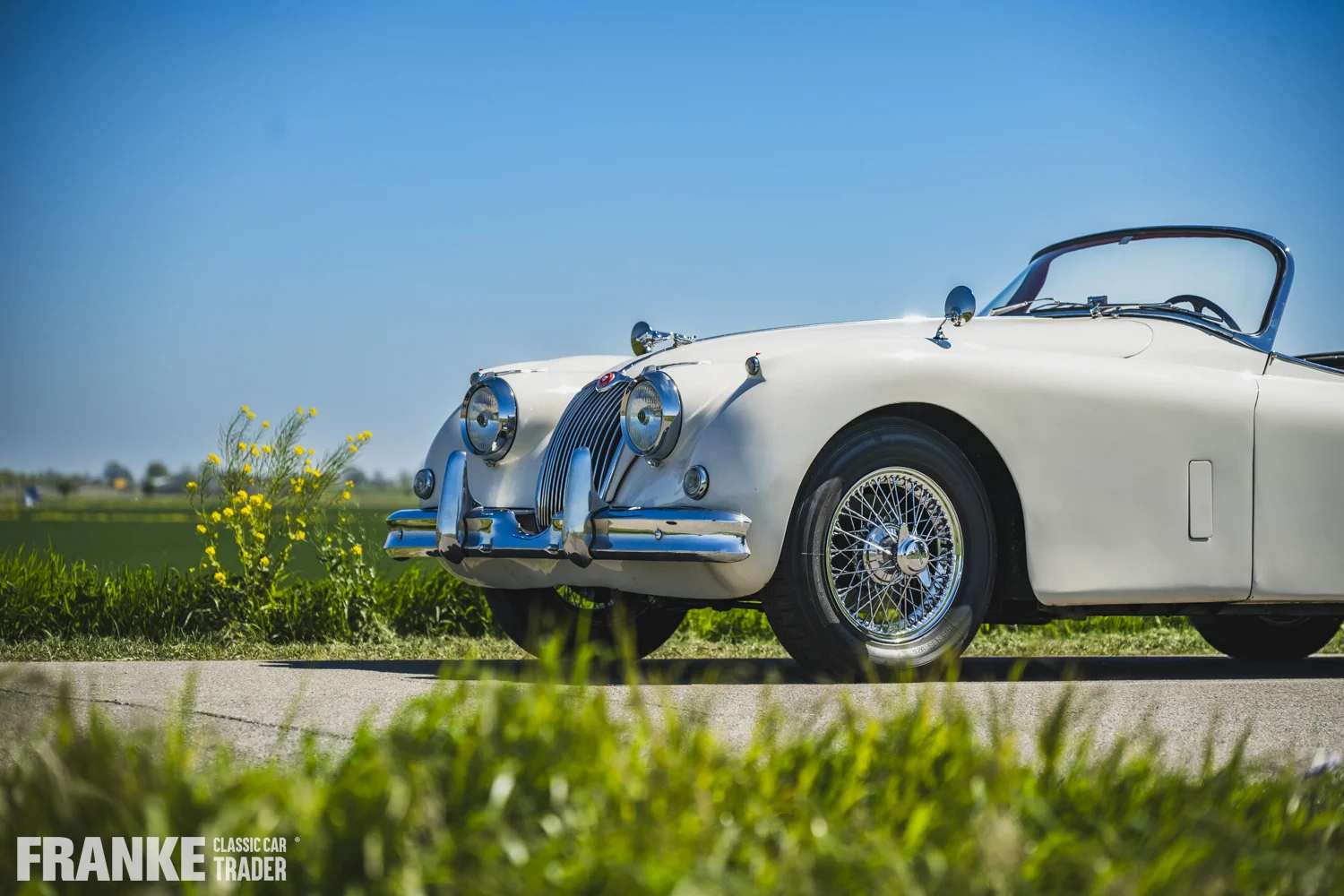 Jaguar XK150 - Jaguar xk150 cream fcct 8046 - xk150-4-26