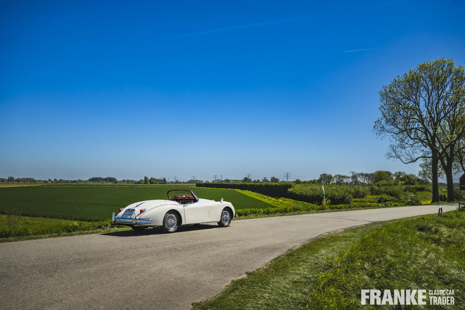 Jaguar XK150 - Jaguar xk150 cream fcct 8082 - xk150-4-26