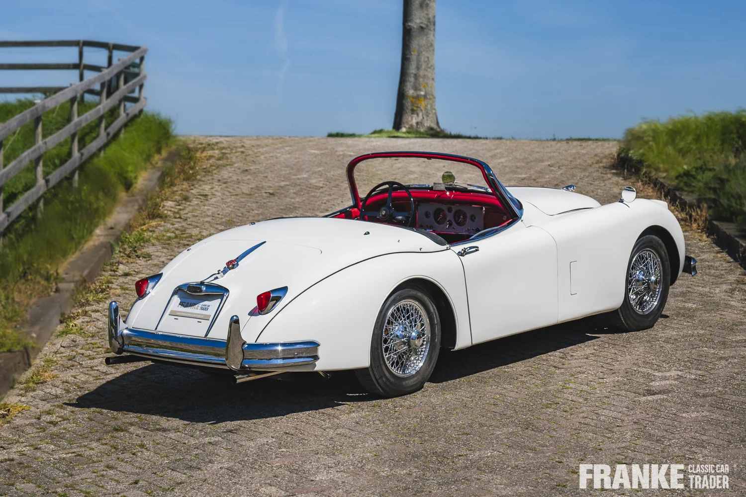 Jaguar XK150 - Jaguar xk150 cream fcct 8141 - xk150-4-26