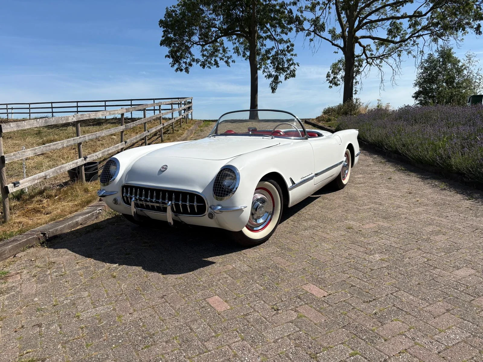 Chevrolet Corvette C1 - Photo 2025 07 04 12 28 1 - 09-2025
