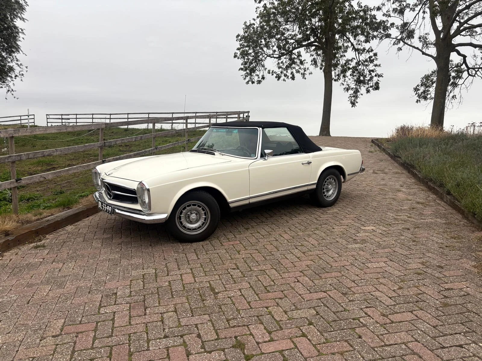 Mercedes Benz 280 SL Pagoda - Photo 2025 11 04 19 11 54 1 - 280SL-3-26